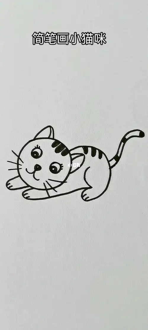 简笔画小猫咪简笔画简笔画教程
