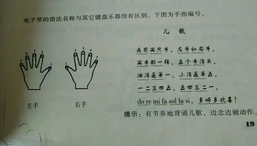 功安幼教机构一7月份电子琴大班教学内容