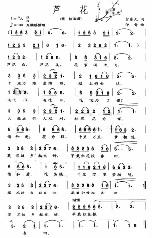 芦花 雷佳 歌谱 简谱,五线谱