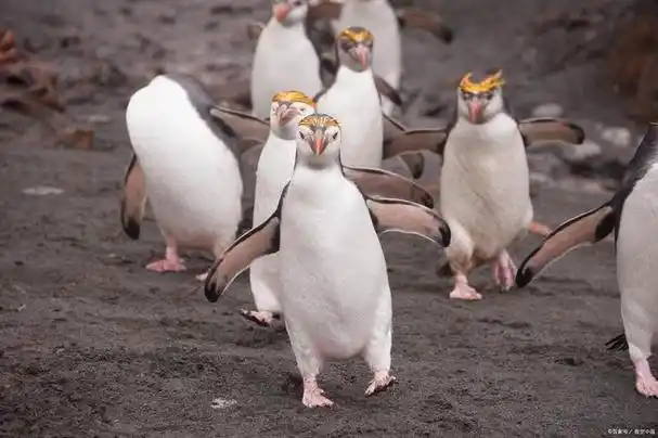 欲想放弃或破坏婚姻不如建设婚姻