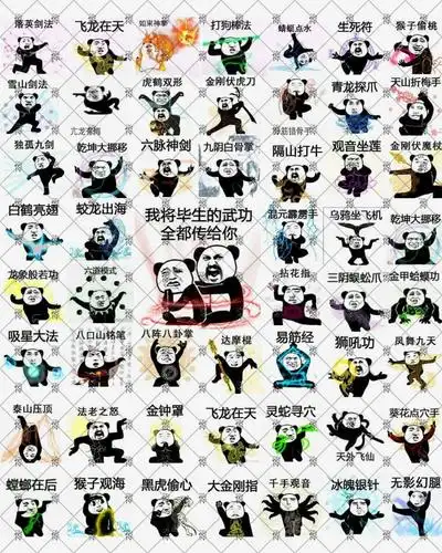 56张熊猫头武功合并图:我将毕生武功传送与你