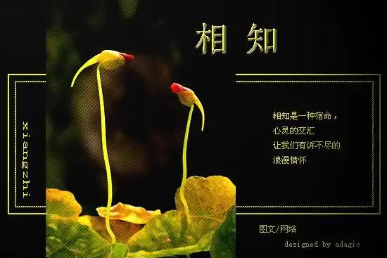 相知,相伴,相依,相守