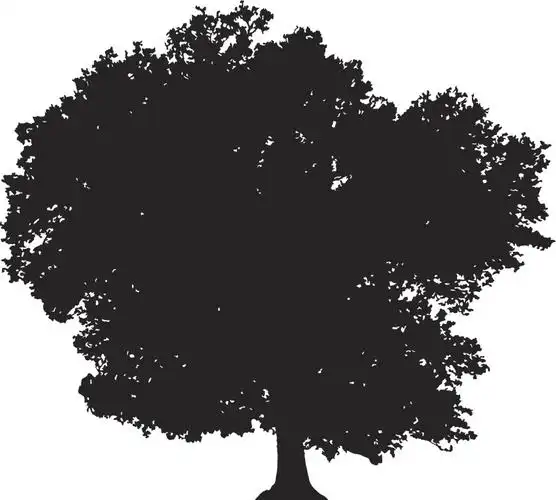 树木的剪影,向量