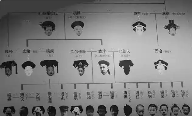 奕譞前四个儿子包括光绪,都没有子嗣,老五载沣的长子溥仪,成为了大清