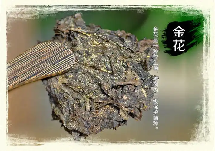 金花六堡茶茶砖960g_六堡茶_黑茶_茶叶茶具_好多巴多(96459.