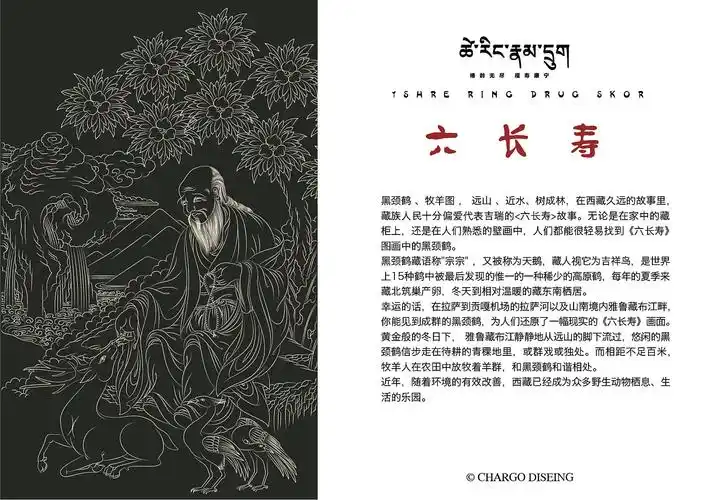 洽廓设计 i 六长寿