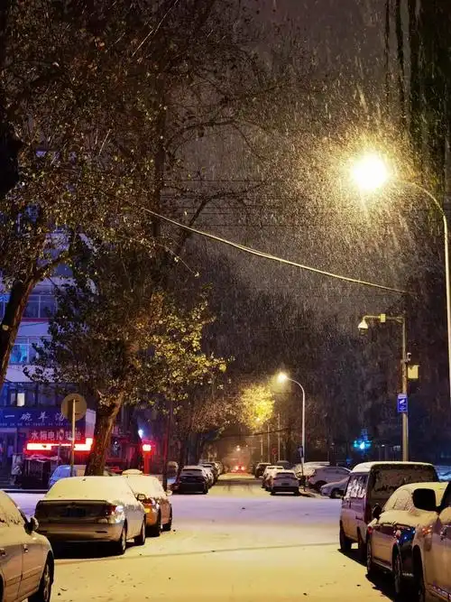 雪中美景|路灯下的南岗通达街
