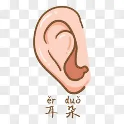 卡通手绘五官耳朵元素