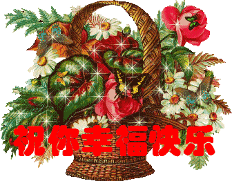 336_262gif 动态图 动图