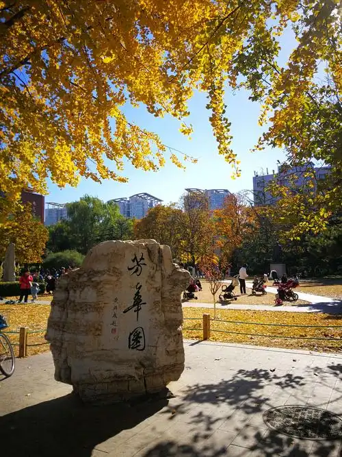 〈北京交通大学校园秋色〉拍于2018年10月31日