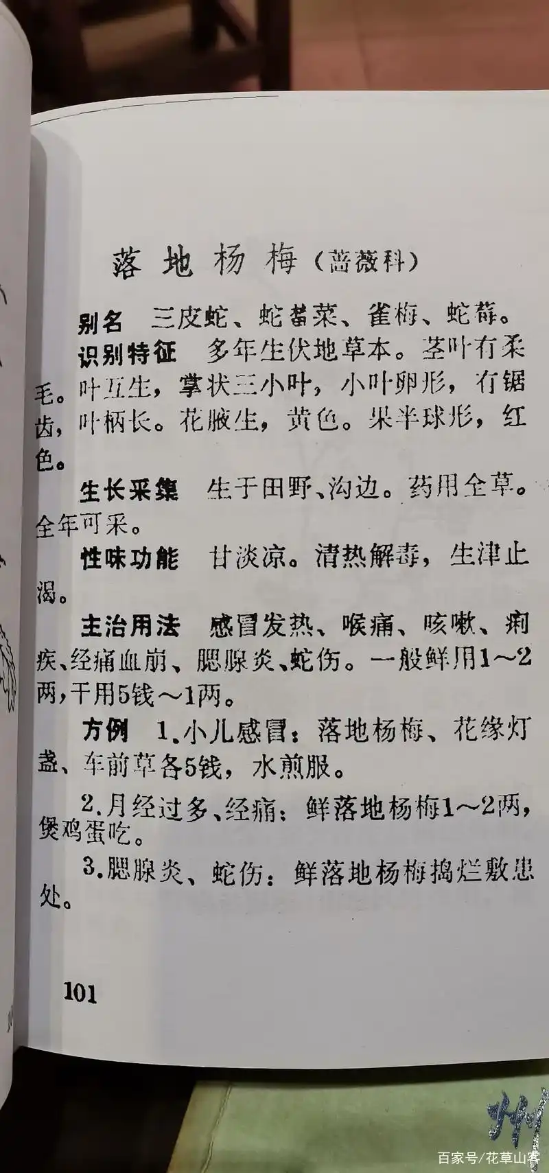 落地杨梅即蔷薇科蛇莓属的蛇莓,它的果实红色,有点像杨梅