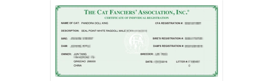 布偶猫证书靠谱吗?能保证血统吗?