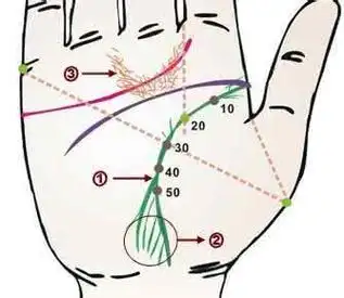 断生命线分叉是什么意思_断开的生命线_手相生命线分叉断开