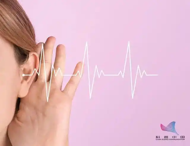 为什么捂着耳朵听自己说话声音会变大好奇心终于被满足了