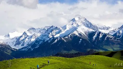 雪山映草原,鲜花正怒放-喀拉峻大环线(上)