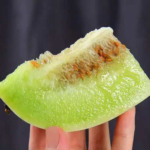 玉菇甜瓜 约重4.5-5.2斤装 2-3个瓜,现摘现发,香甜如蜜,水润多汁