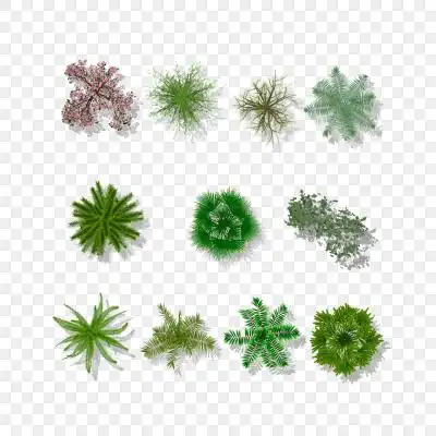 景观树木素材-景观树木元素图片下载-觅知网