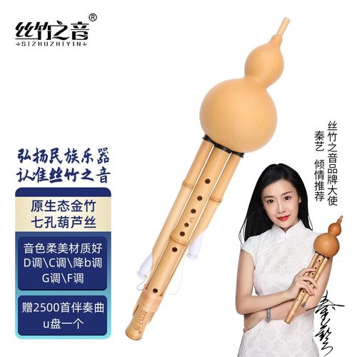 之音葫芦丝金竹臻品七孔葫芦丝成人专业演奏型云南少数名族吹奏乐器 d