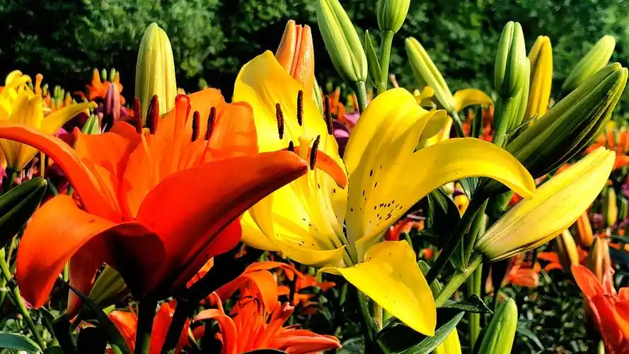 氧气, 是勒入肩胛的拉纤绳, 吱扭上坡的独轮车, 是巍峨, 是24k的纯粹