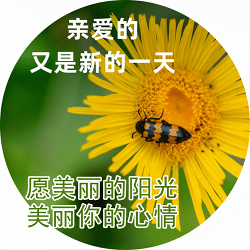 早上好问候语动态图片表情大全 四月早上好祝福语图片带字