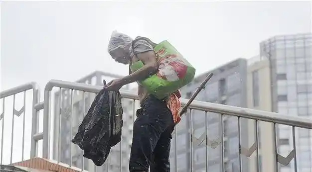 天桥下住10年,每天坚持学英语_陈颖_流浪汉_家人