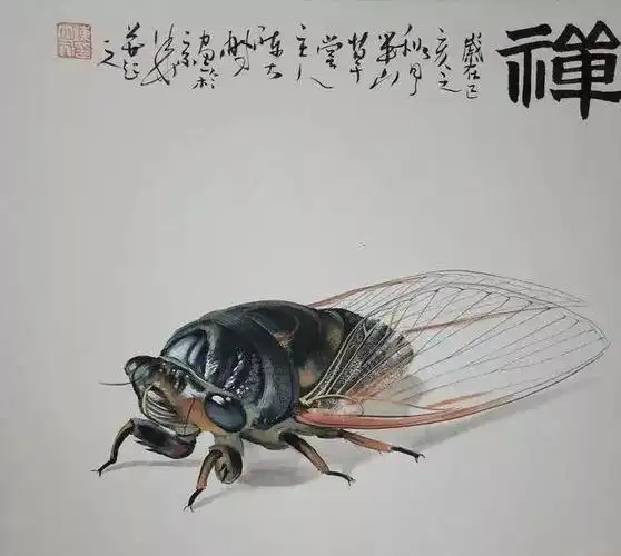 民间画蝉第一人惟妙惟肖