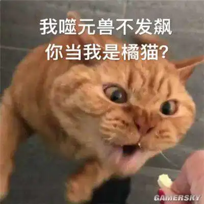 惊奇队长的橘猫大火 被网友恶搞做成表情包