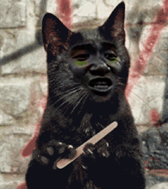 250_281gif 动态图 动图