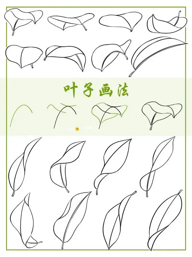 16种不同角度 叶子画法|只需4步 当掌握了规律,画起来就比较容易了