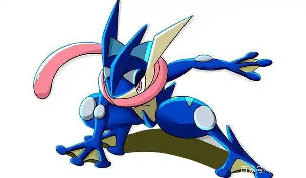 甲贺忍蛙特性是什么配招