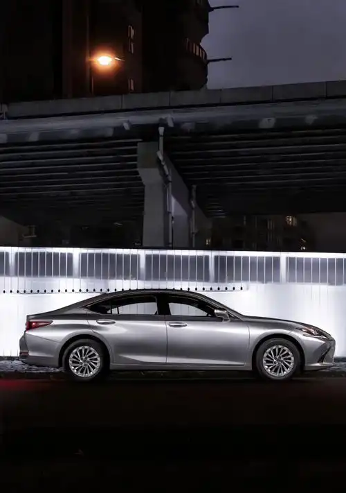 >易车>社区>雷克萨斯es社区>es200用车感受>1080_1536竖版 竖屏