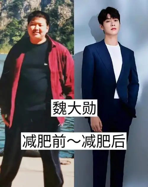 明星减肥前后对比,本以为差距最大的是贾玲,没想到却是魏大勋