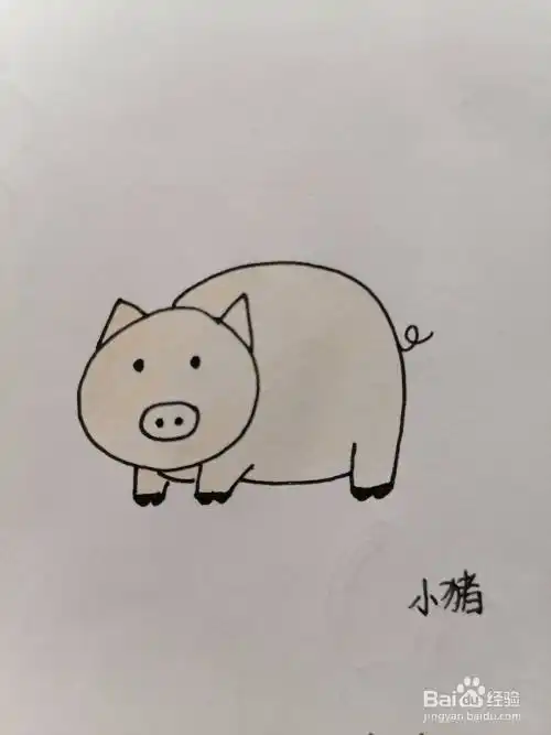 小猪简笔画怎么画
