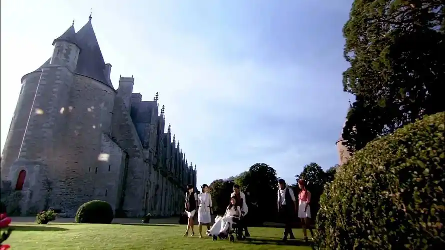 花非花雾非雾华心四朵花十六年情谊不变