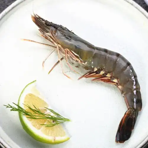越南野生草虾斑节冷冻老虎鲜活超大特大8-10只冻虾