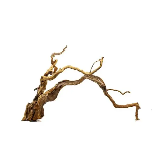 杜鹃鱼缸造景沉木树根草缸布景枯木摆件天然造景