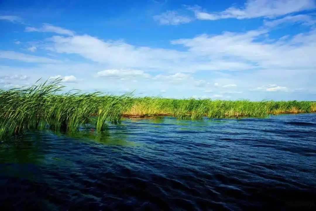 这个六月来黄河口就是向往的生活