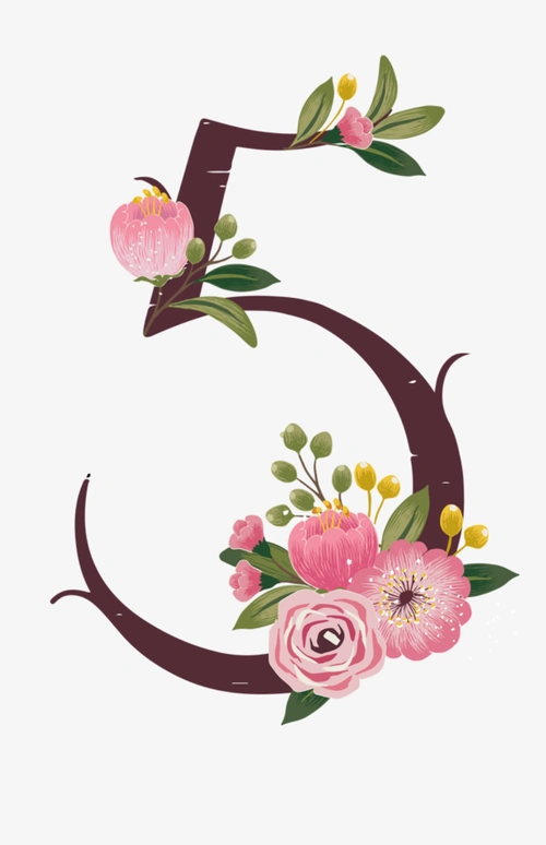 数字5