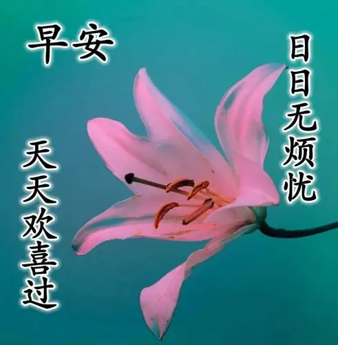 8月1日最新清晨早安问候动态表情图片 最美早上好祝福美图动态