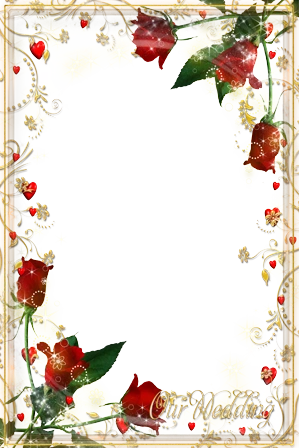 【转载】【免抠png素材篇】漂亮的png装饰框 4/30p