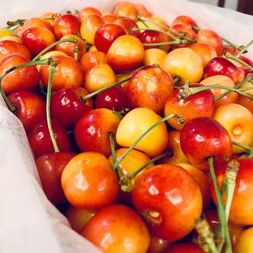 2022现货辽宁省大连雷尼樱桃国产国产车车厘子孕妇车厘子