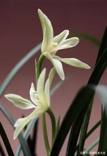 640_932竖版 竖屏