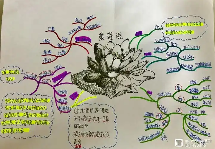 《爱莲说》思维导图(7张)