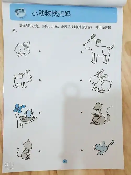 红黄蓝固镇亲子园入园过渡班的宝宝入学成长记录!