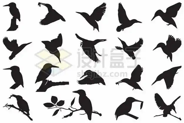 19款翠鸟剪影227966eps矢量图片素材