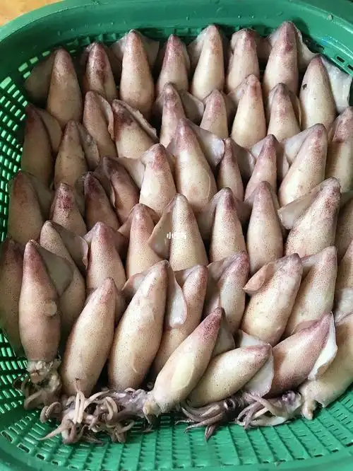 最近火爆的鱿鱼籽