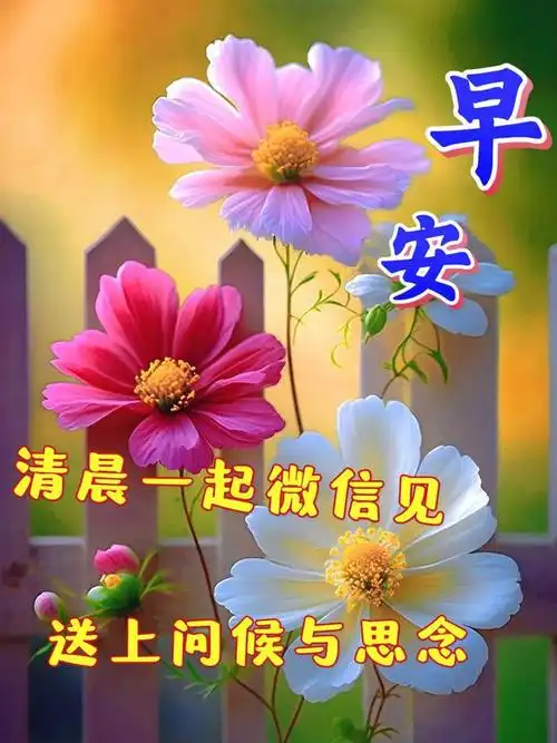 早安暖心祝福图片带字带问候语|快乐|早上好|吉祥如意_网易订阅