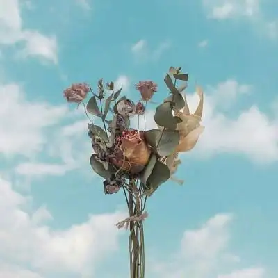 老人头像适合老人微信头像图片大全