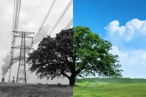 新研究:空气污染或损害记忆力 甚至使大脑提前衰老十年