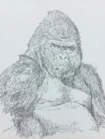 大猩猩简笔画大猩猩简笔画简单